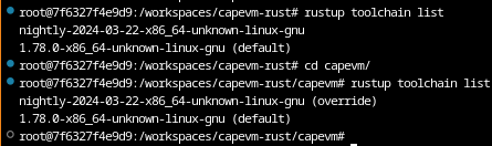 rustup output