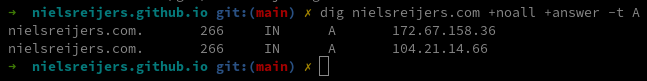 dig DNS output