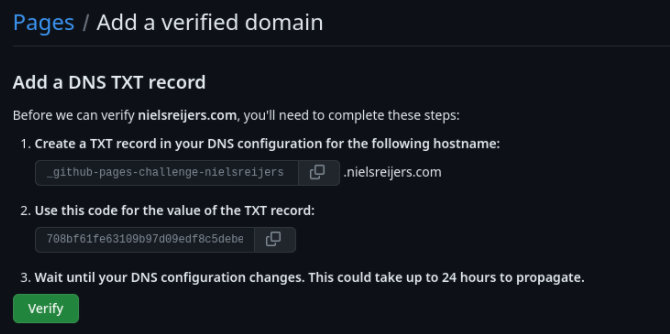 GitHub domain verification challenge